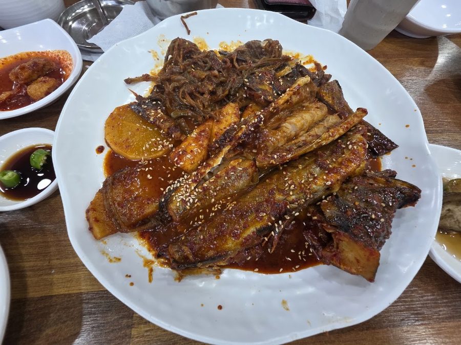 금빛코다리