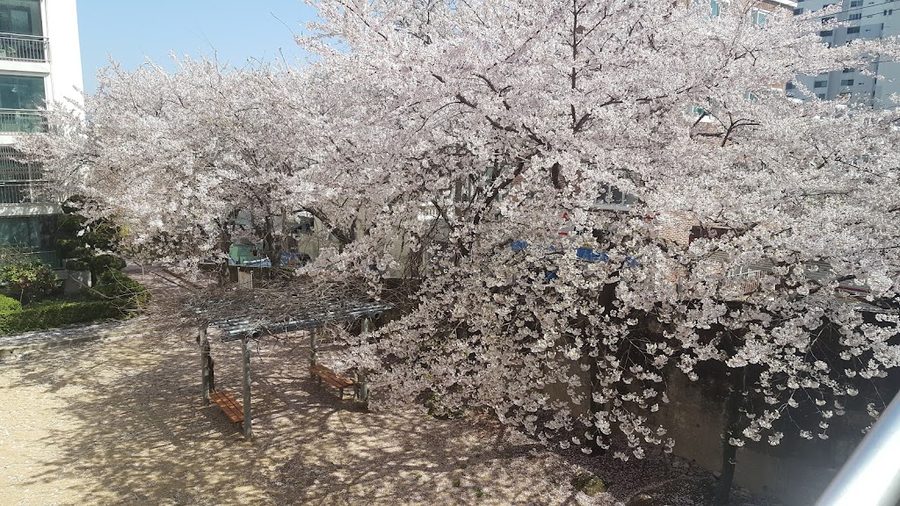 龜瑞牛城公寓