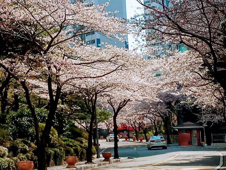 Haeundae Gyeongnam Seonkyung Apartment