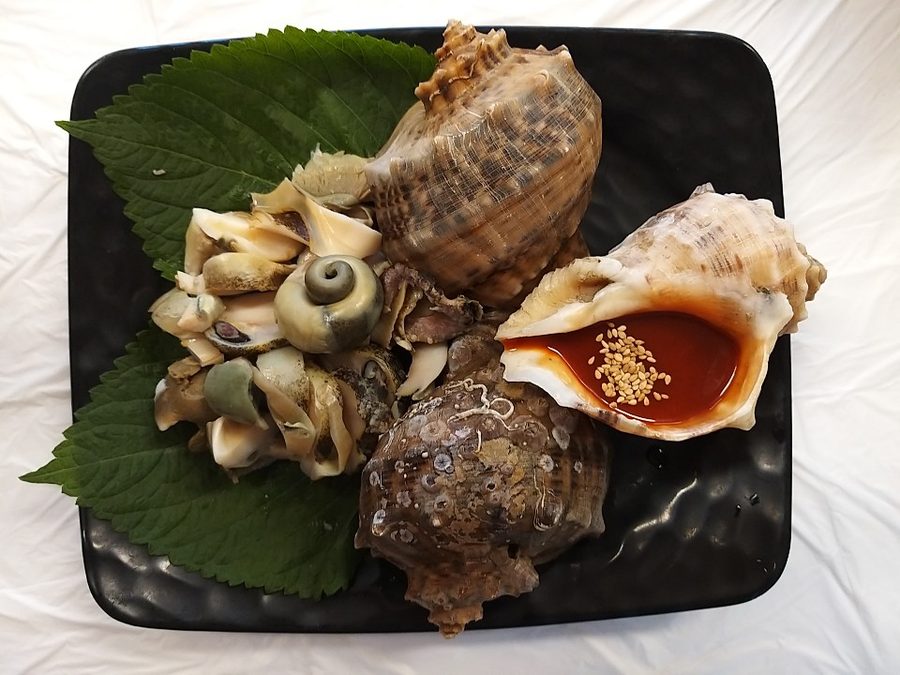 부산세꼬시