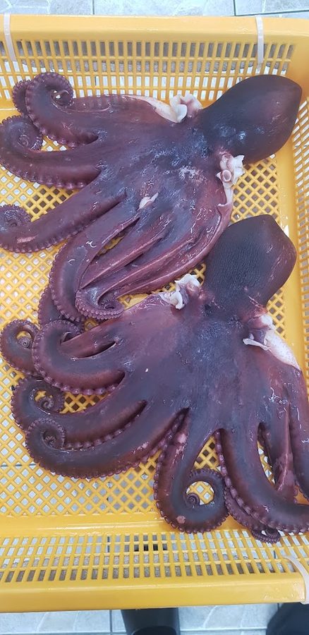 민재아빠횟집