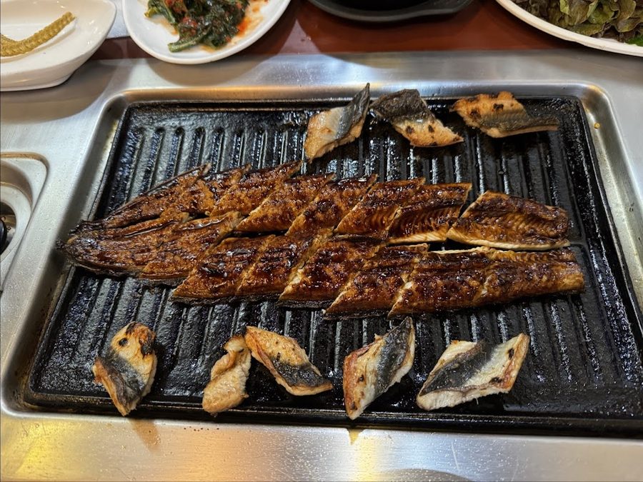 장추 민물장어