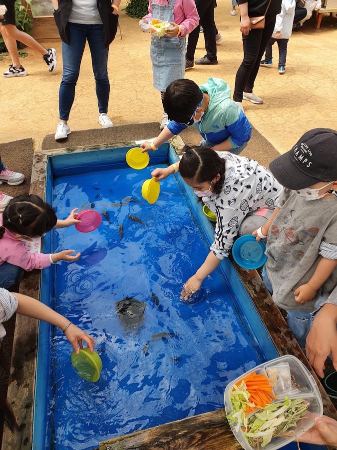 分け合い農場赤ちゃん動物体験