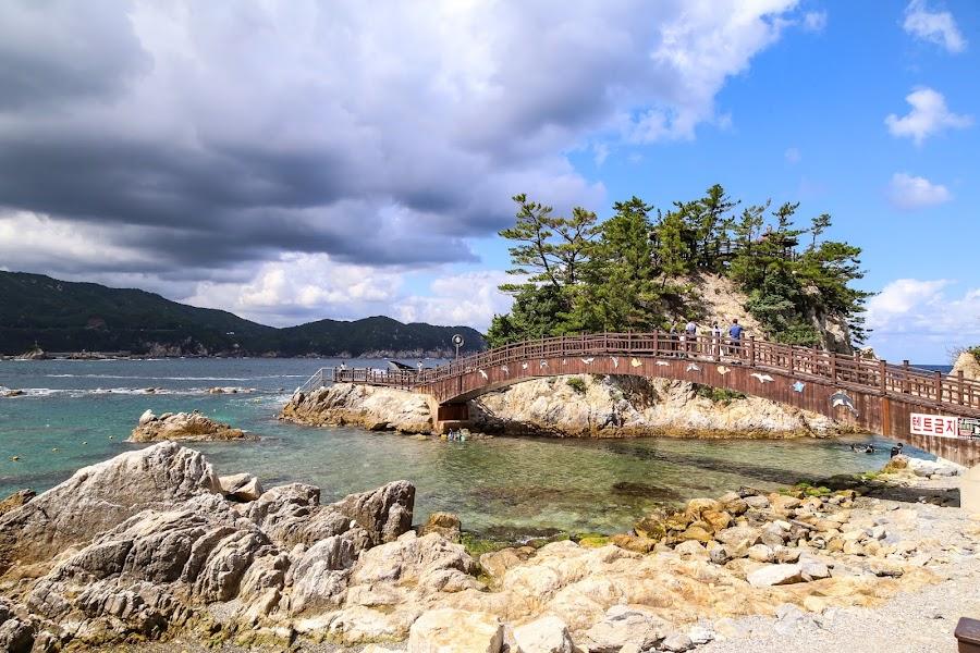 長湖港