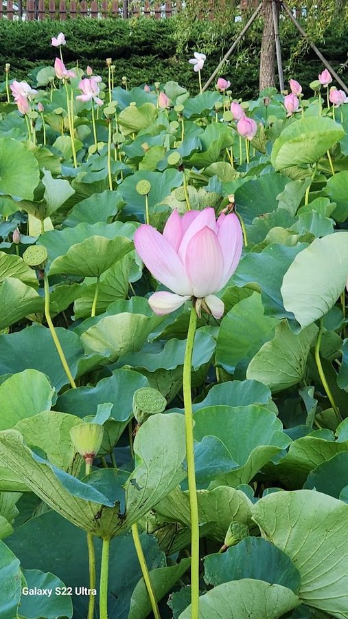 固城生態學習館