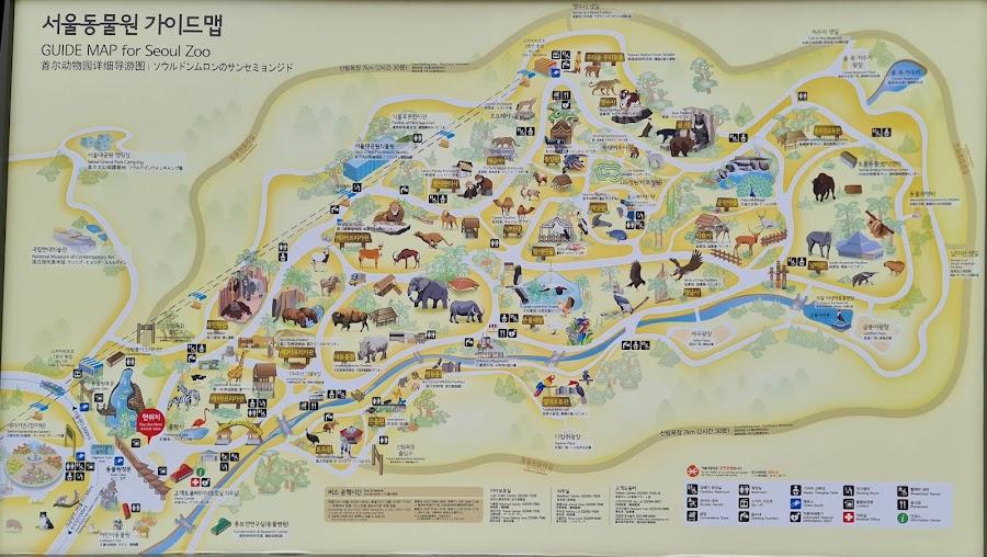 果川首爾大公園動物園