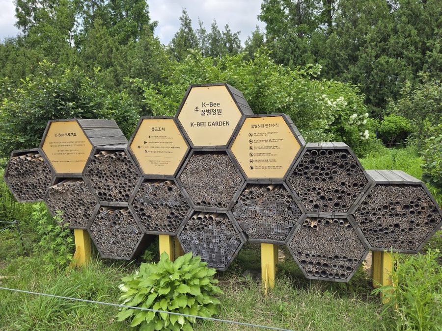 Honeybee Garden