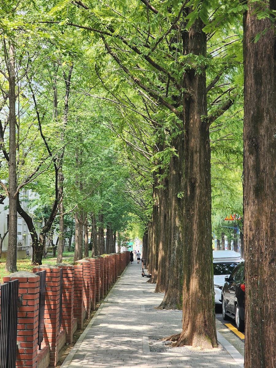 Changwon Garosu-gil