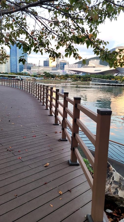 수영강 데크