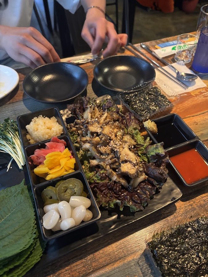 Joeun Jari
