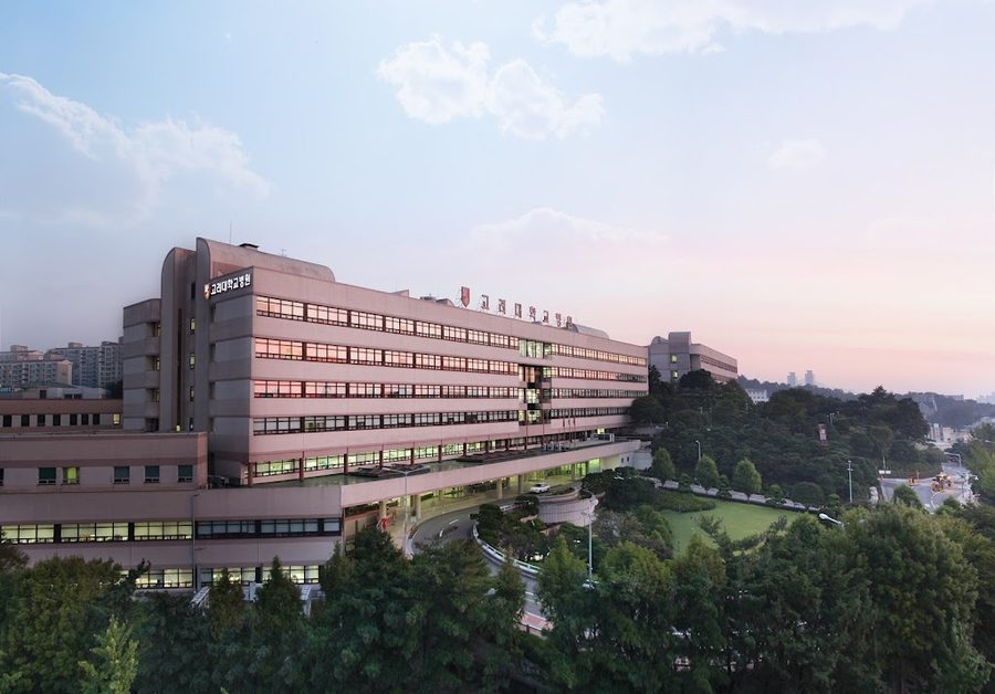 高麗大學 安岩醫院