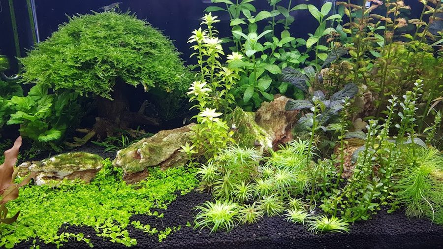 Seongsan Aquarium