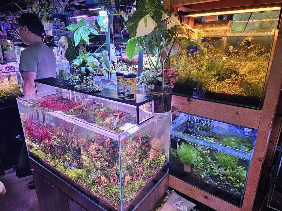 Hongsan Aquarium