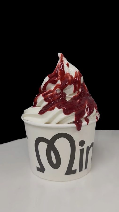 Mimi's Frozen Yogurt