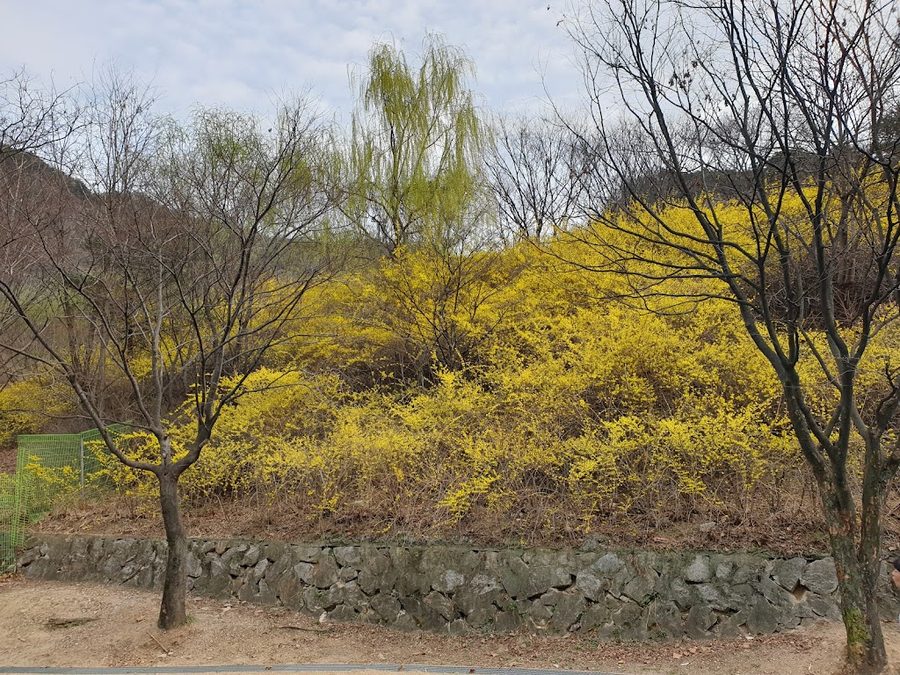 Yongmasan Entrance