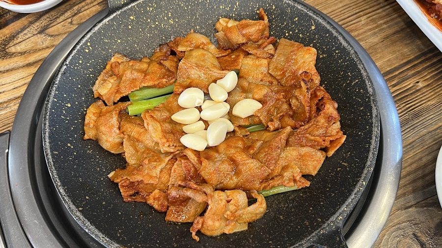 대수정