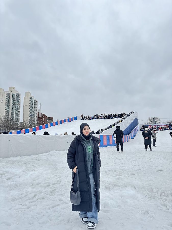 Jamwon Hangang Park Sledding Slope
