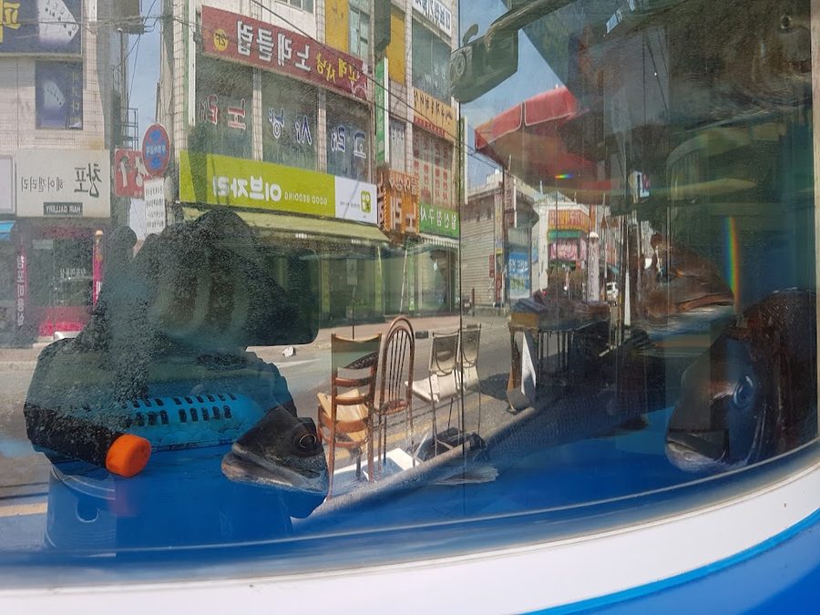 중앙수족관