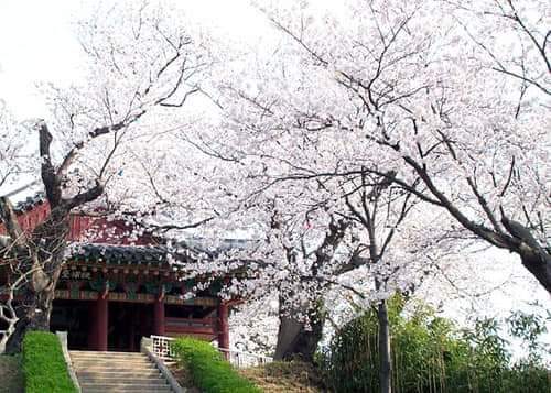 Geochang Deokcheon Seowon