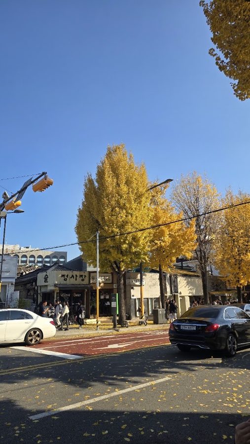 Cheonggiwa
