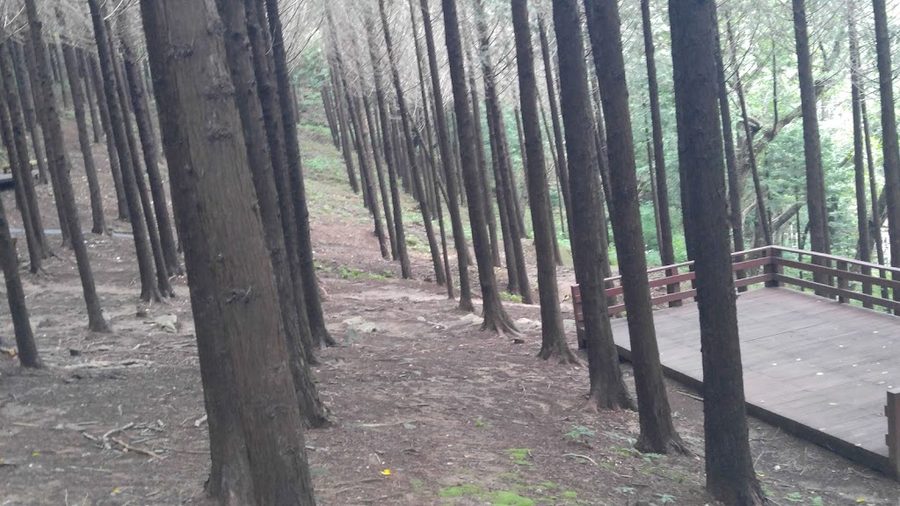 Eomgwangsan Gilmaji Shelter