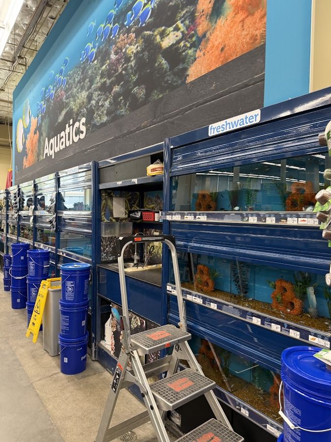 Petco