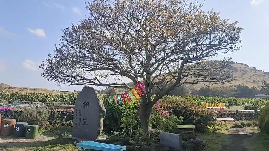 濟州鐵路公園