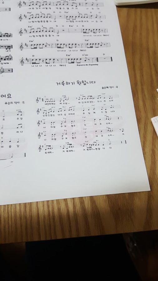 더치폴카페