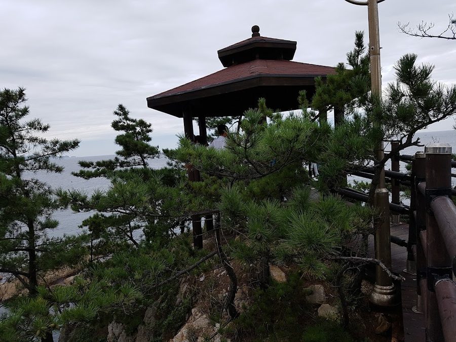 해돋이횟집