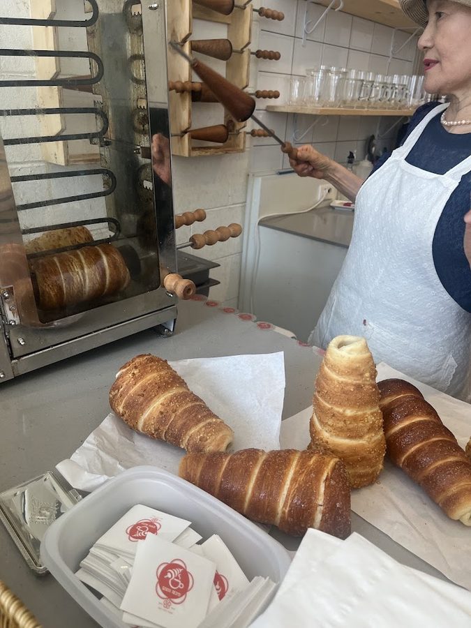 Dalmaji Czech Bread