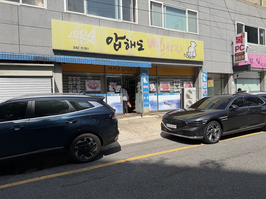 押海島泥灘章魚