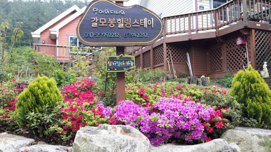 Galmobong Healing Stay Pension