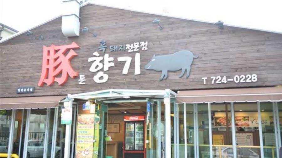 돈향기