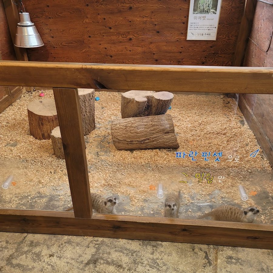 バドゥギネ動物園