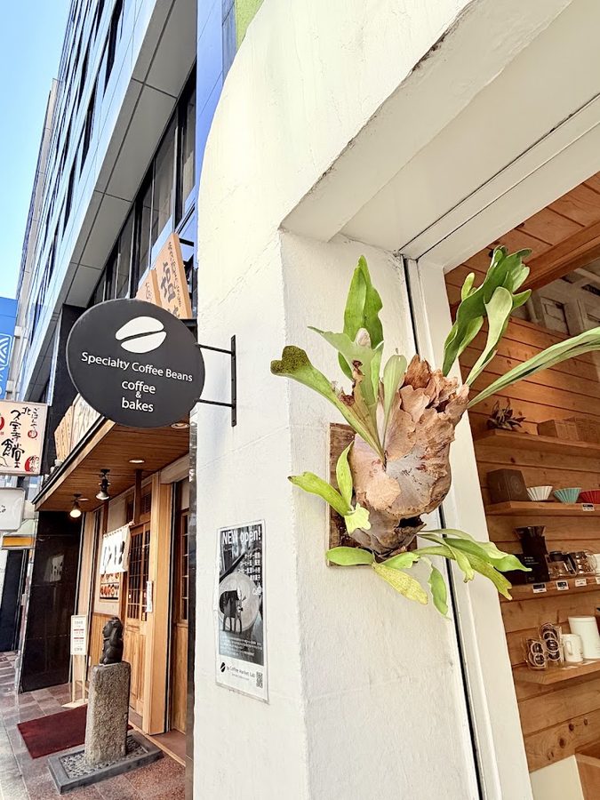 The Coffee Market Lab