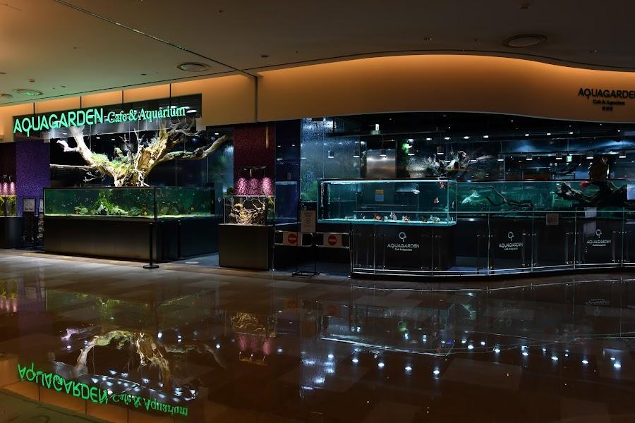 Aqua garden cafe Lotte World Tower