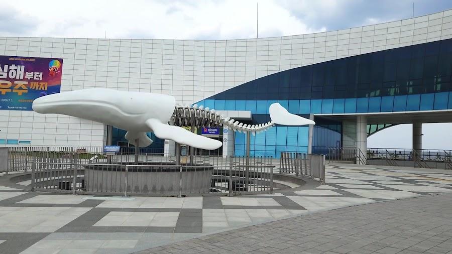 National Ocean Science Museum