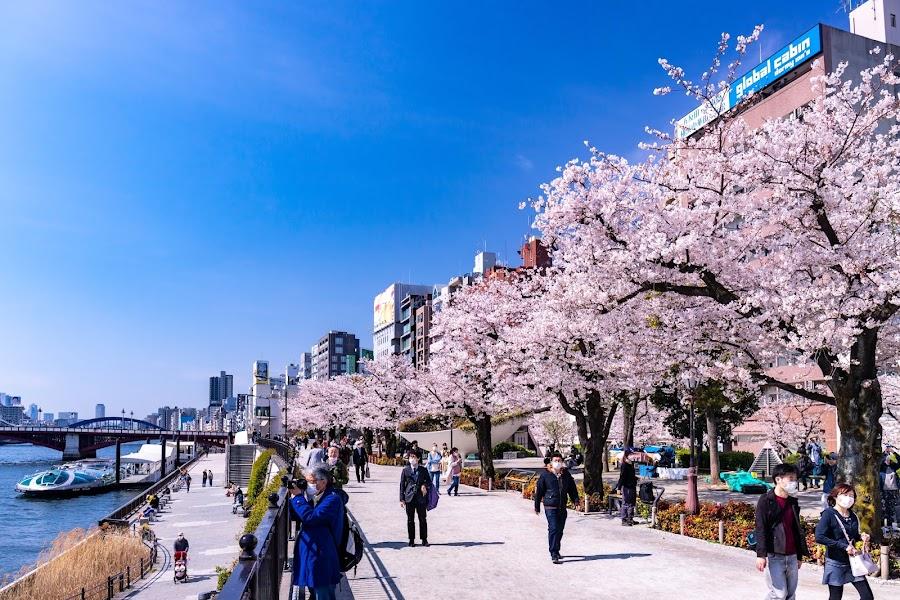 隅田公園