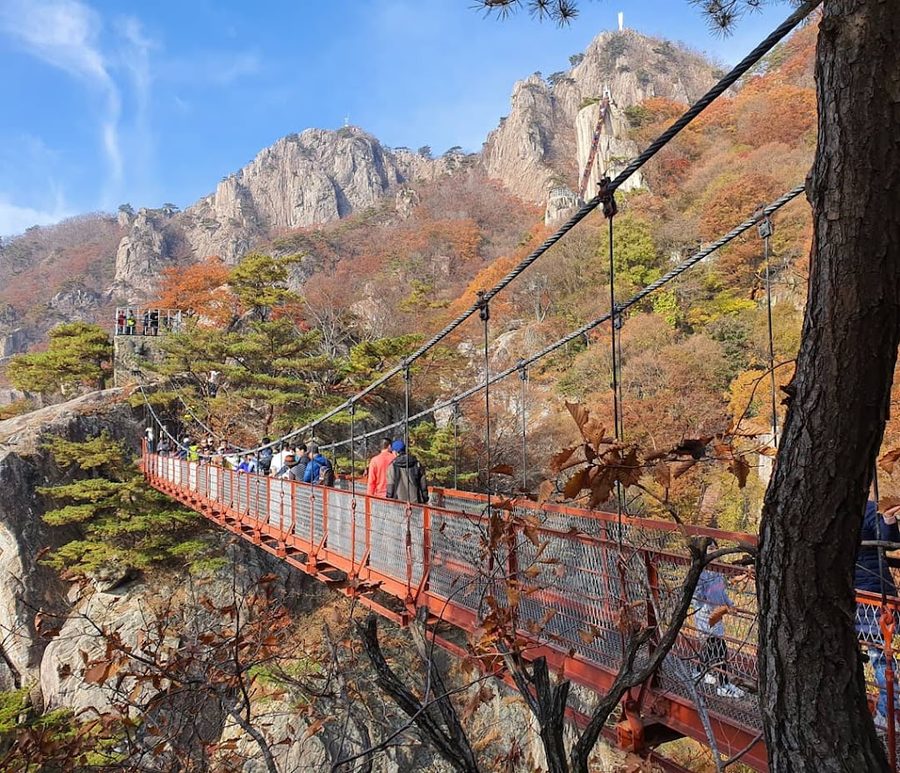 Daedunsan Cable Car