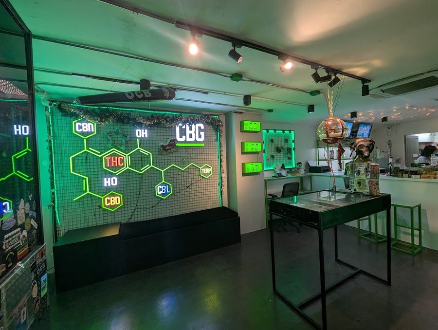 CBG Khaosan by Buddy Grow (Cannabis Dispensary) 大麻