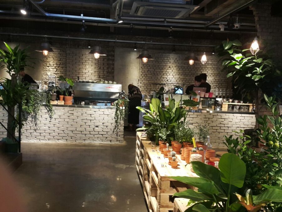 URBAN PLANT 明洞