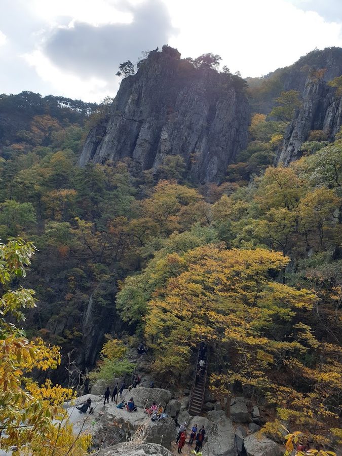 遊戲場兒童公園