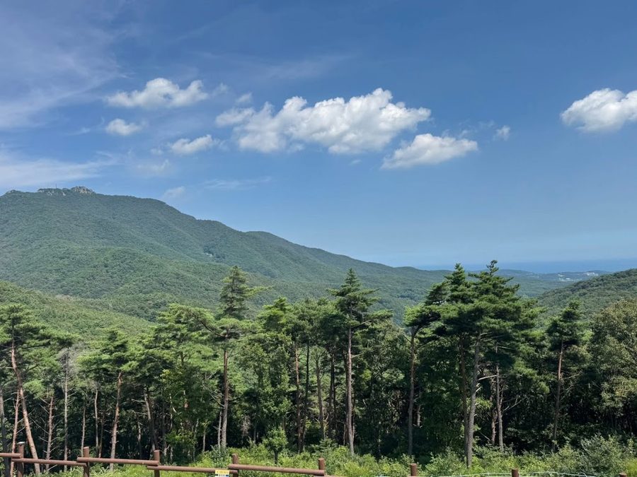 国立タルムサン自然休養林