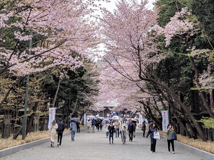 円山公園