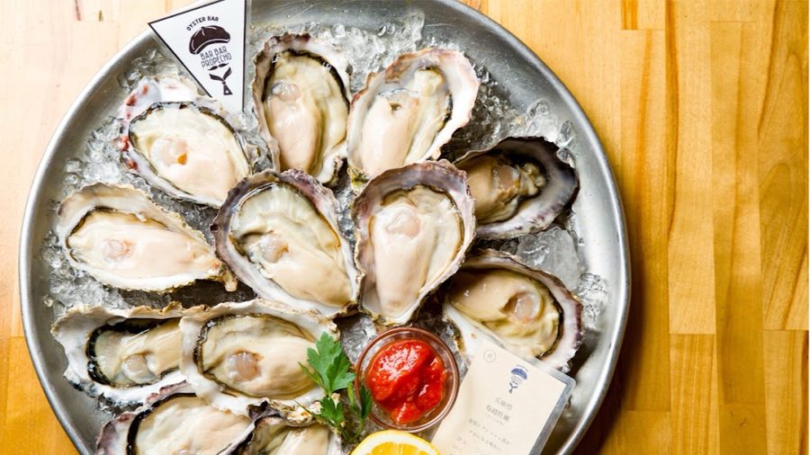 Oyster Bar Bar Bar Propecho