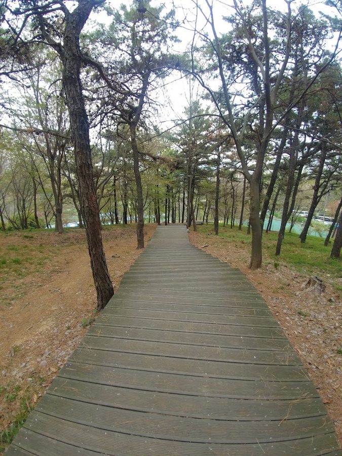 文化近隣公園