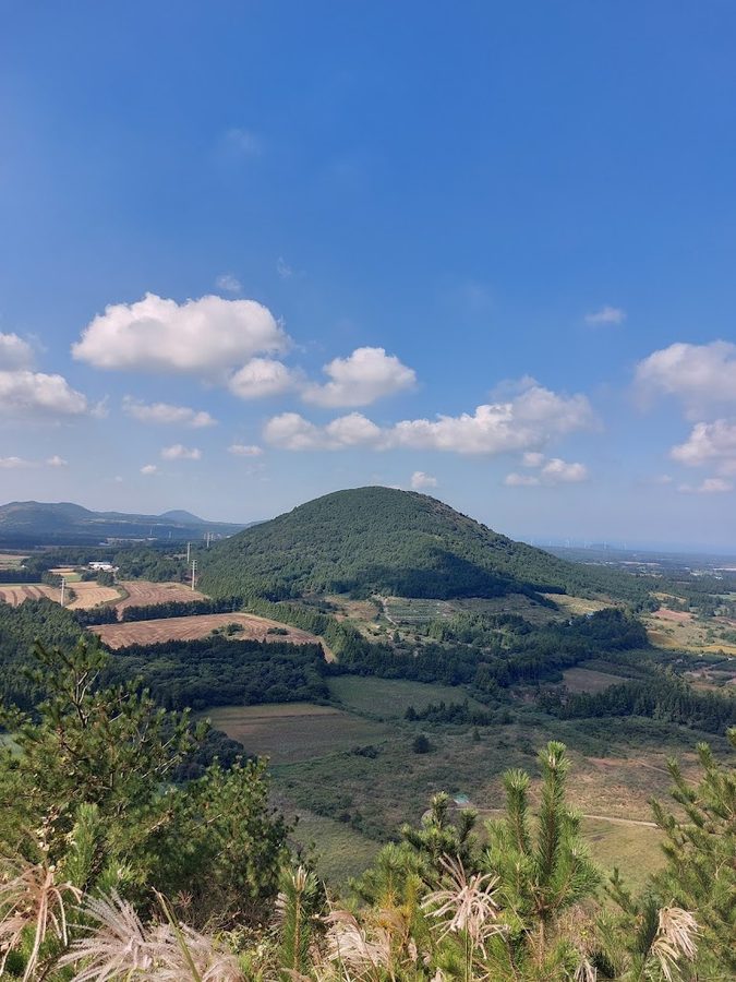Dong Geomeun Oreum (Geomi Oreum, Dong Geomun Oreum)