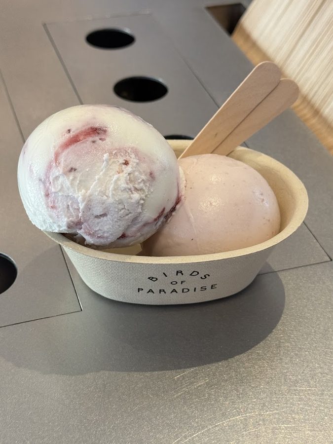 Birds of Paradise Gelato Boutique – Holland Village
