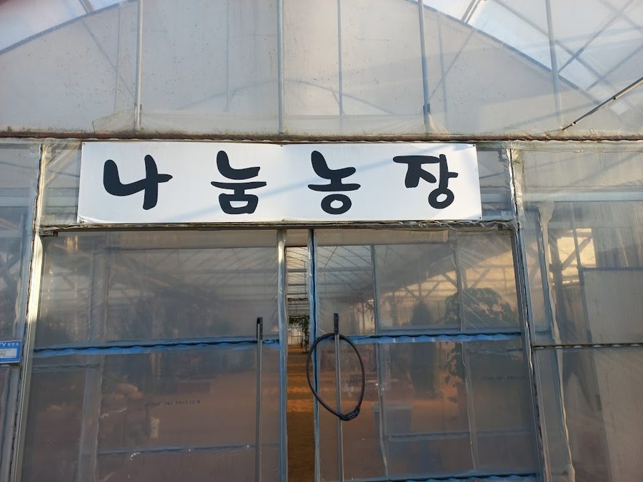 ナヌム農場 坡州