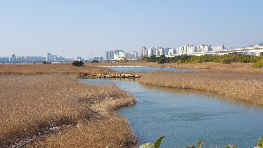 乙淑島候鳥公園